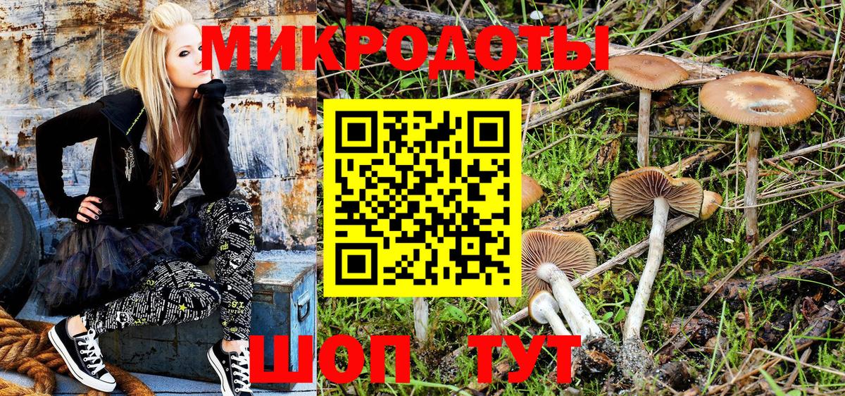 Псилоцибиновые грибы Psilocybe  где купить наркоту  Егорьевск  Вход с VPN 